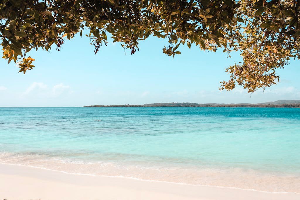 10 Best Things To Do In Negril, Jamaica