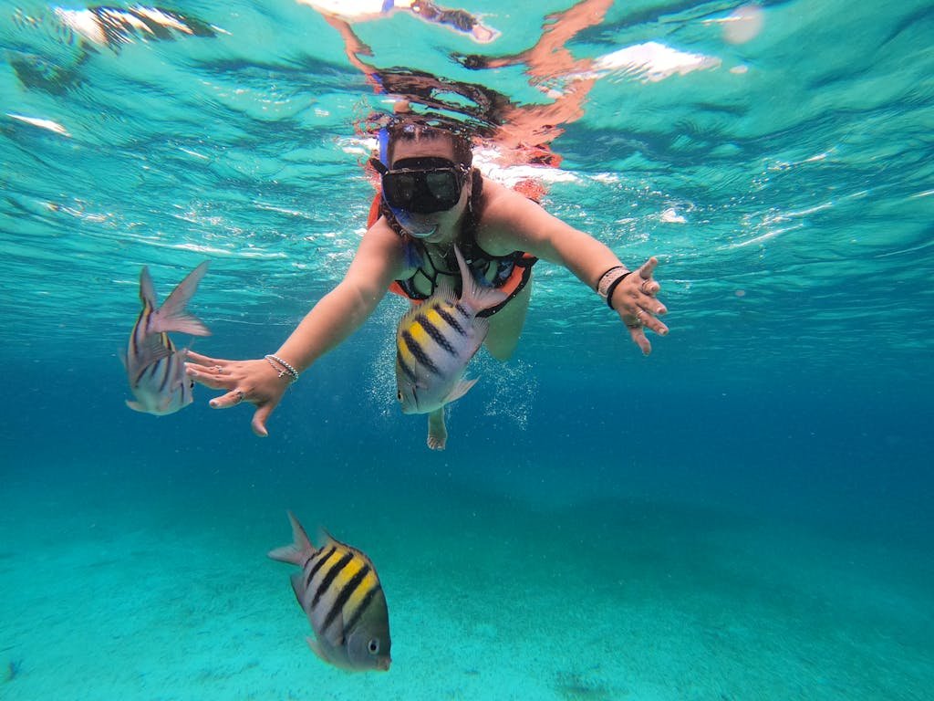 Tourist with a Snorkel Admiring Sergeant Major Tropical Fish in the Ocean