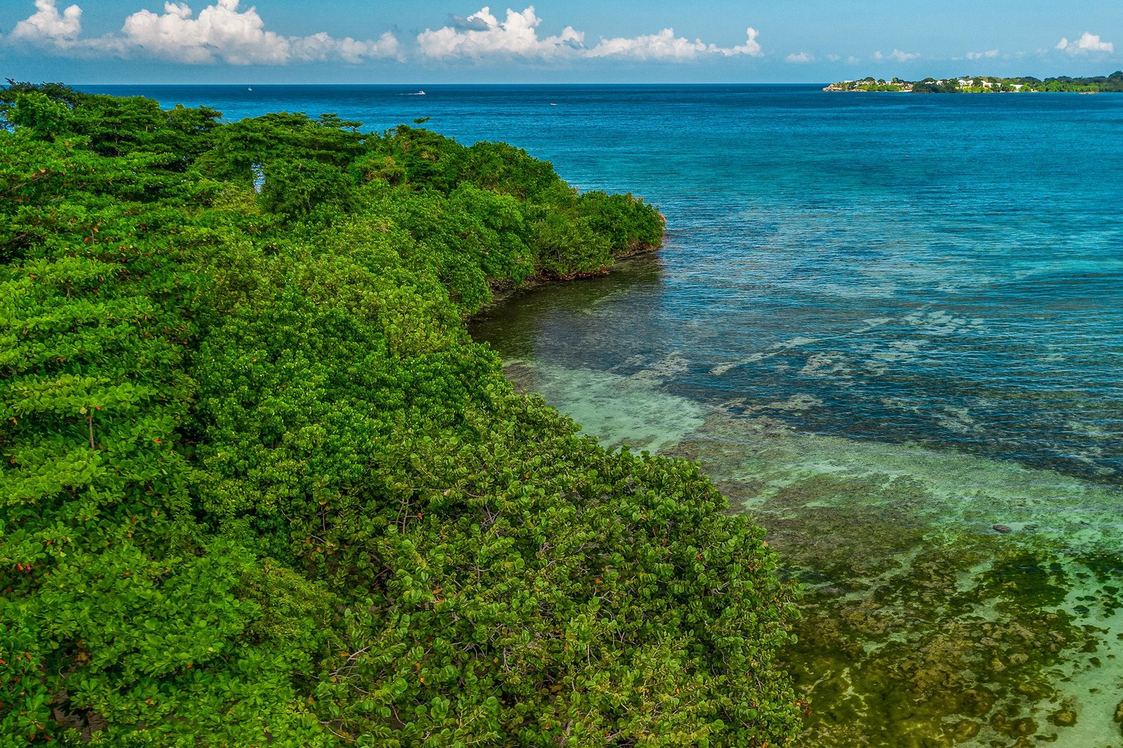 Booby Cay Island, Negril