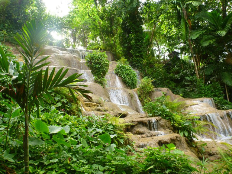 Konoko Falls and Park – St. Ann, Jamaica