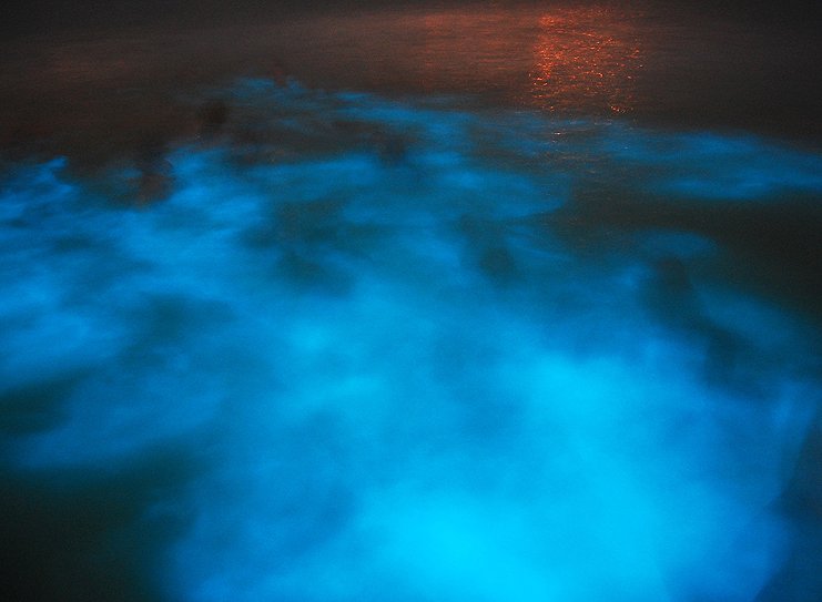 Luminous Lagoon (Glistening Waters)