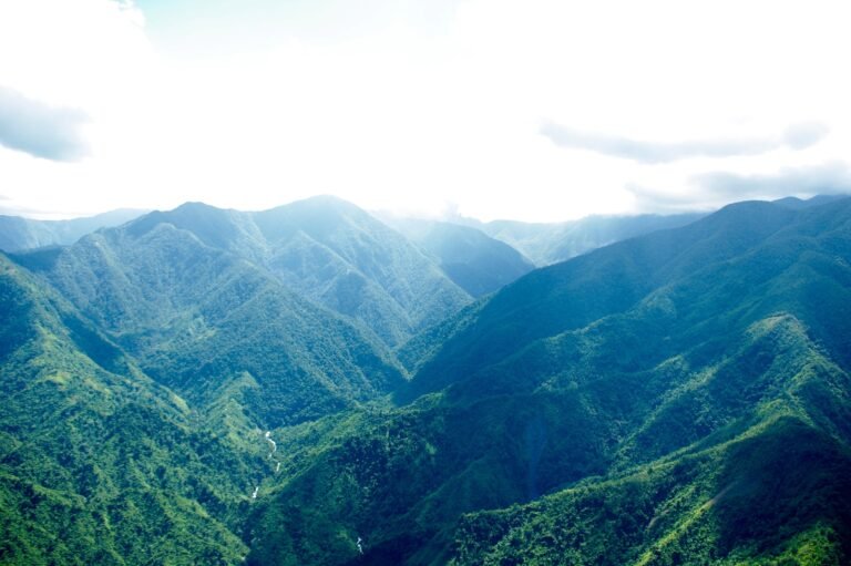 Blue Mountains, Jamaica